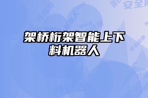 架橋桁架智能上下料機(jī)器人