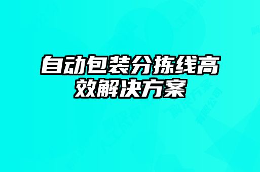 自動(dòng)包裝分揀線高效解決方案