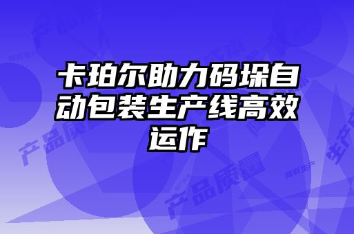 卡珀爾助力碼垛自動包裝生產(chǎn)線高效運作