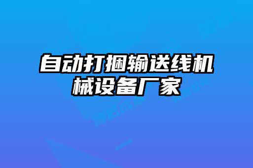 自動(dòng)打捆輸送線機(jī)械設(shè)備廠家