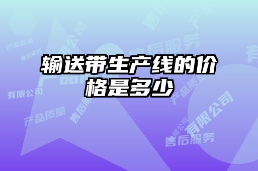 輸送帶生產線的價格是多少