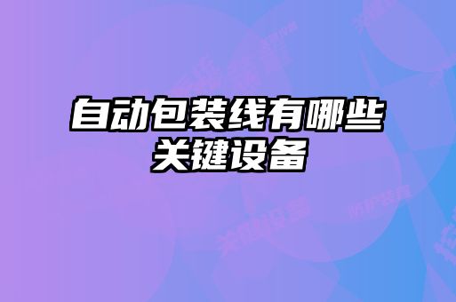 自動包裝線有哪些關鍵設備