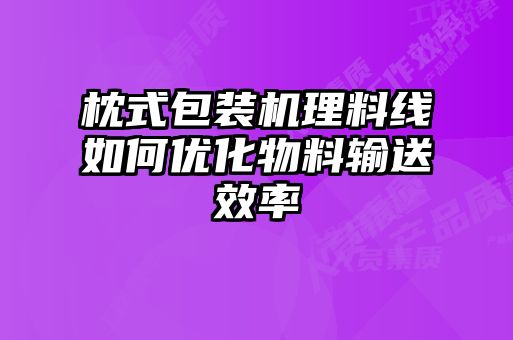 枕式包裝機(jī)理料線(xiàn)如何優(yōu)化物料輸送效率