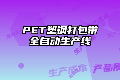 PET塑鋼打包帶全自動生產(chǎn)線