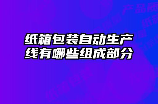 紙箱包裝自動生產(chǎn)線有哪些組成部分