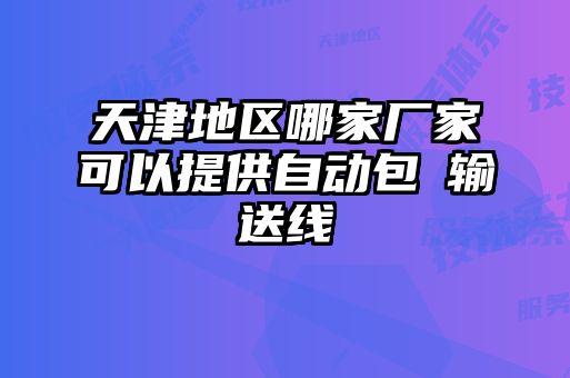 天津地區(qū)哪家廠家可以提供自動包裝輸送線